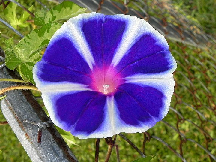 17-DSCN6478