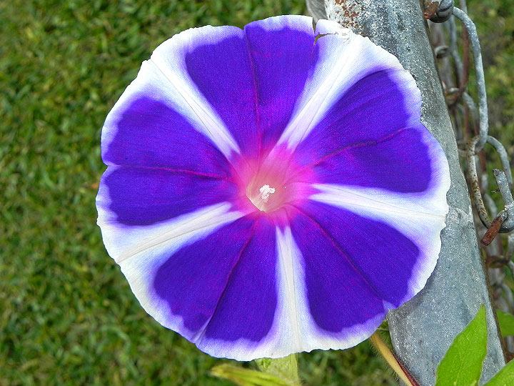 17-DSCN6948