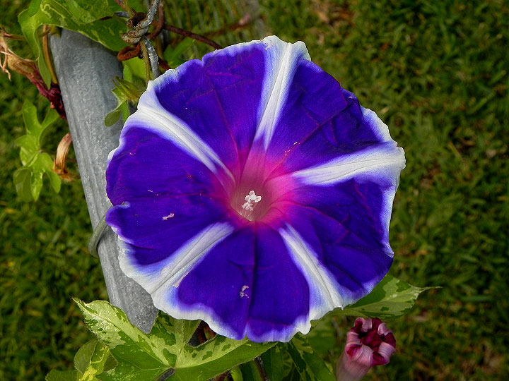 17-DSCN7030