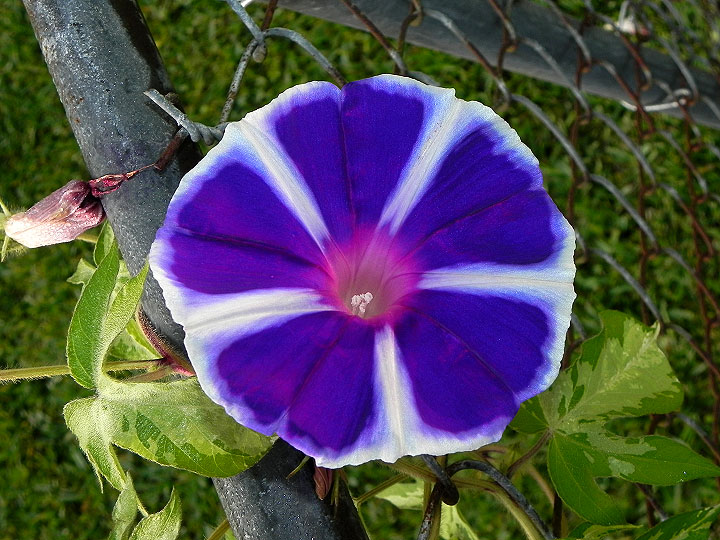 17-DSCN7127