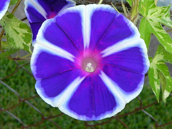 17-DSCN7353