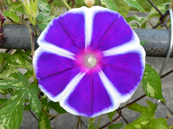 17-DSCN8356