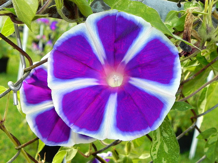 17-DSCN8782
