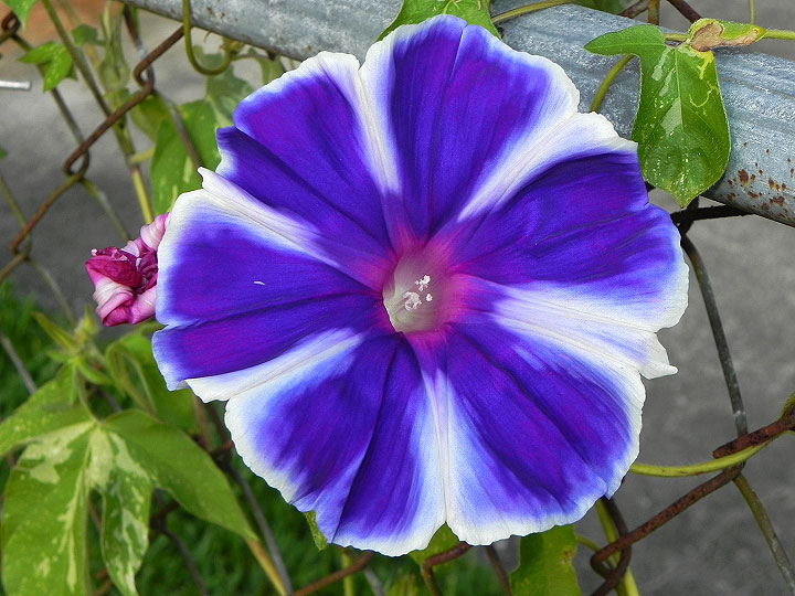 17-DSCN9369