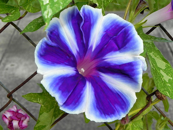17-DSCN9624