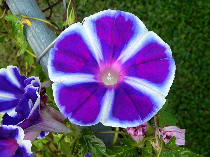 17-DSCN9628