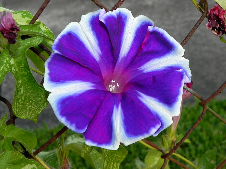 17-DSCN9870