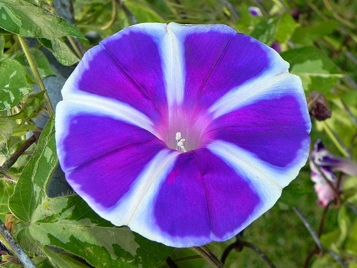 17-DSCN9871