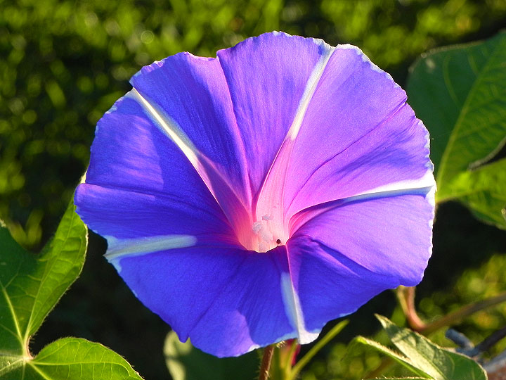 2-21n-DSCN0670