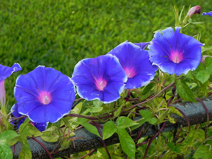 2-22-DSCN7393