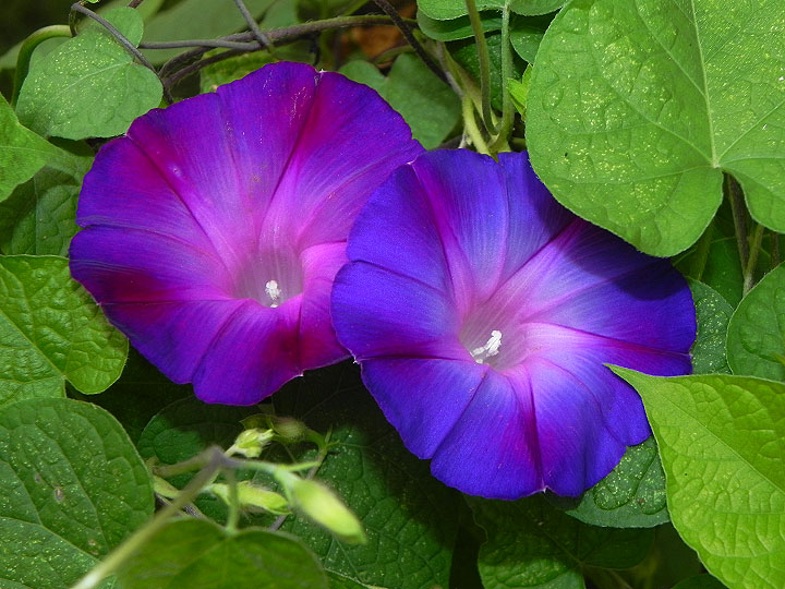 2-38-DSCN0319