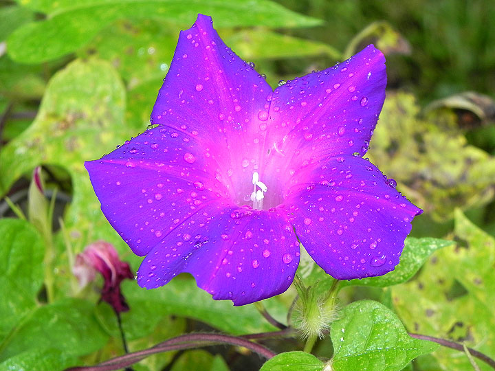 2-9-DSCN7957