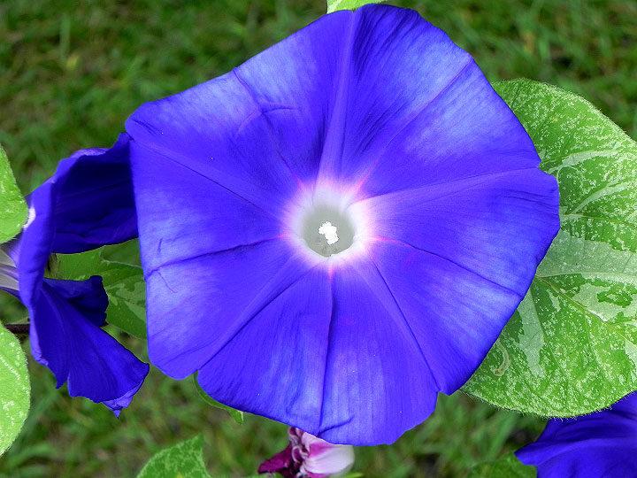 2-DSCN1641