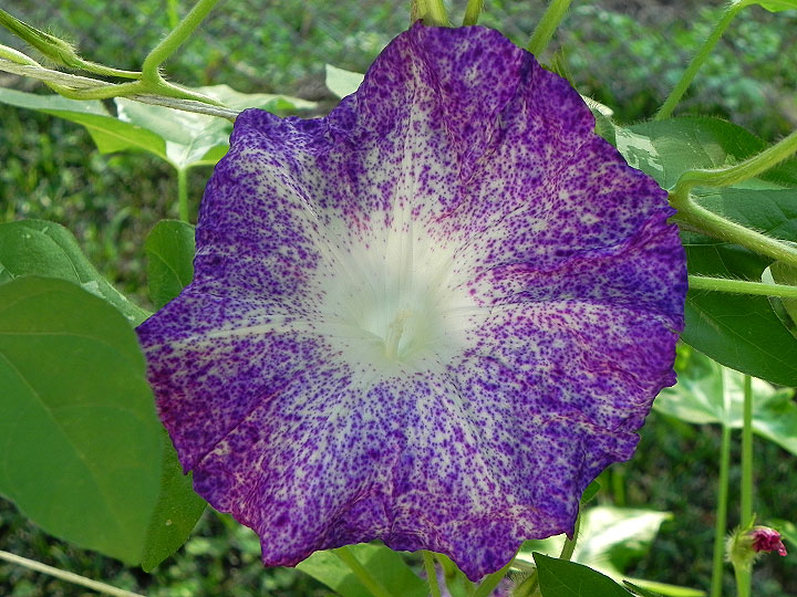 2-DSCN2696_01