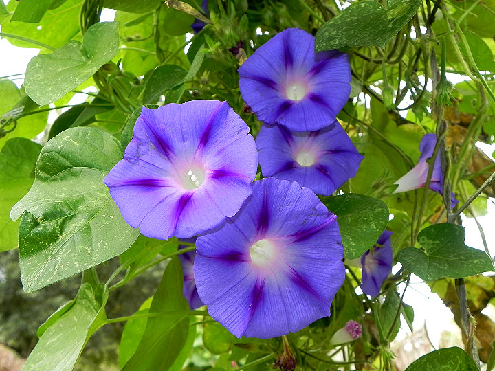 2-DSCN3735