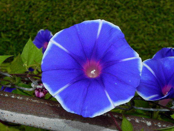22-DSCN0427