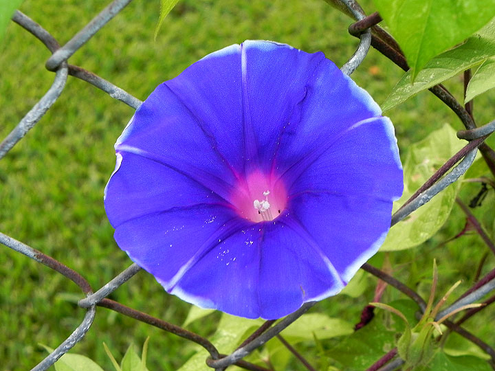 22-DSCN1159