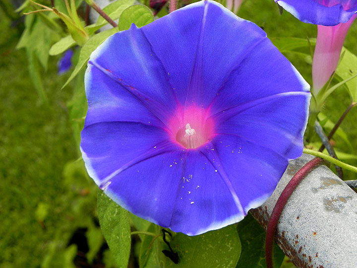 22-DSCN1160