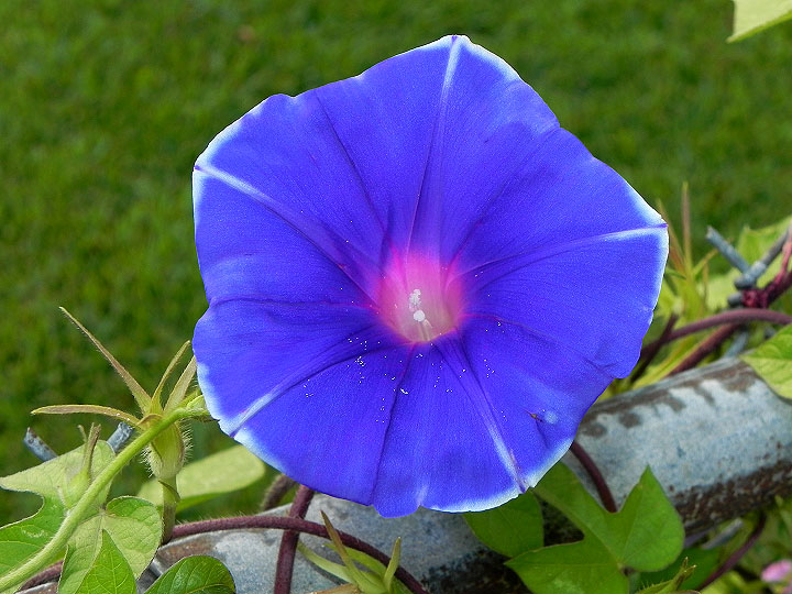 22-DSCN1374