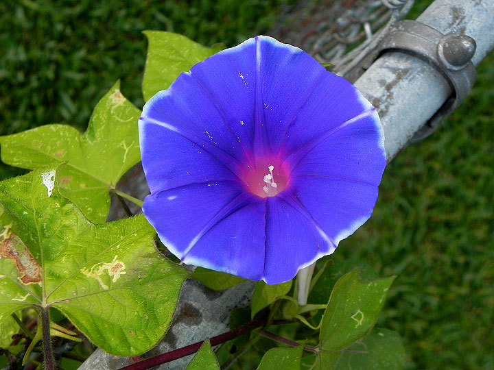 22-DSCN1375