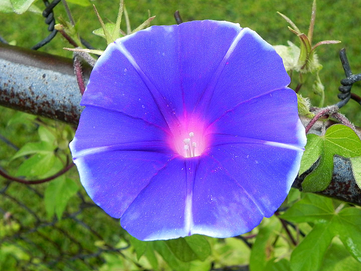 22-DSCN1653