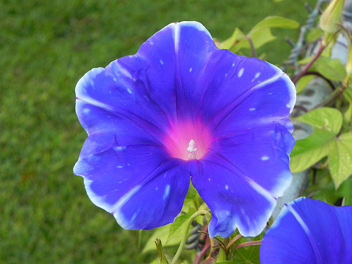 22-DSCN2045