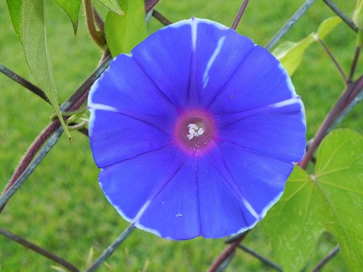 22-DSCN2046