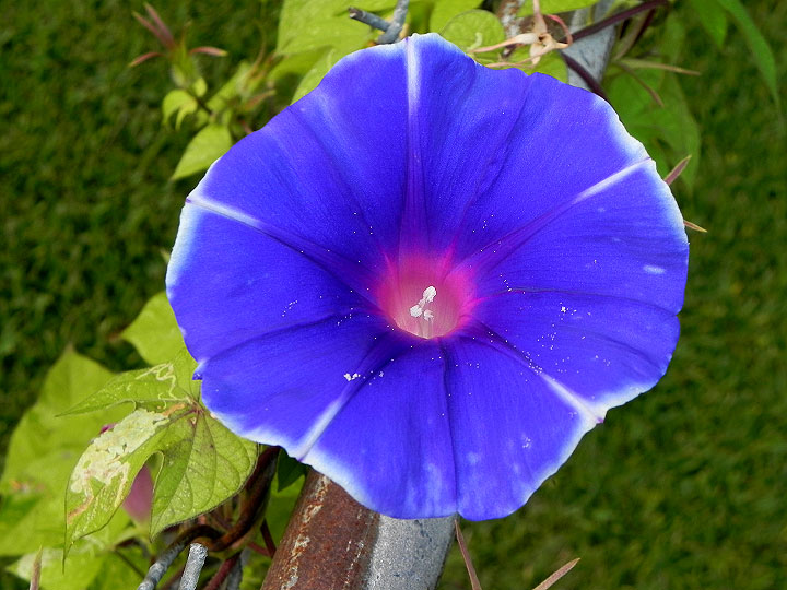 22-DSCN2305