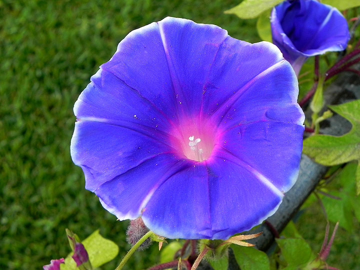 22-DSCN2741