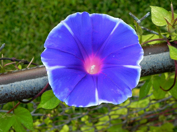 22-DSCN3021