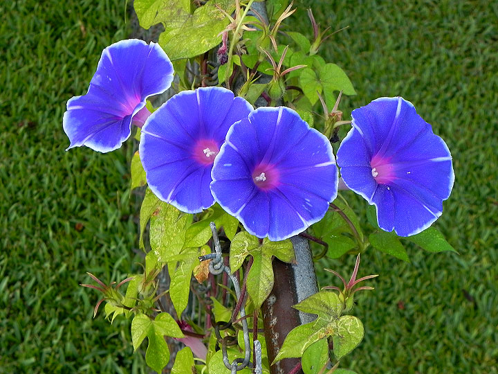 22-DSCN3022