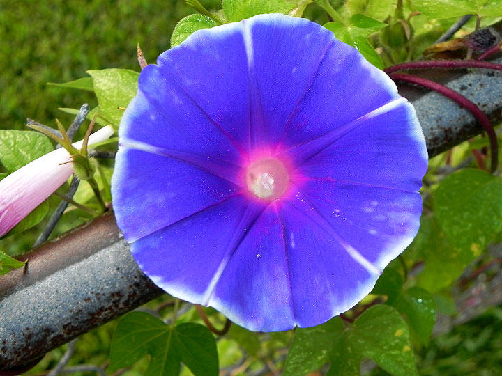 22-DSCN5118