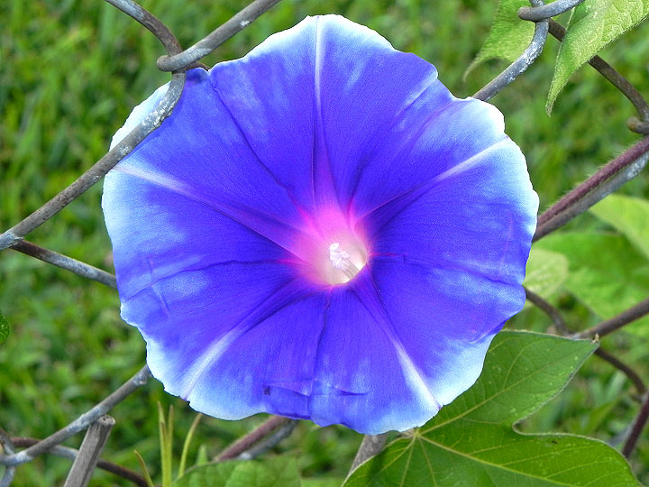 22-DSCN7812