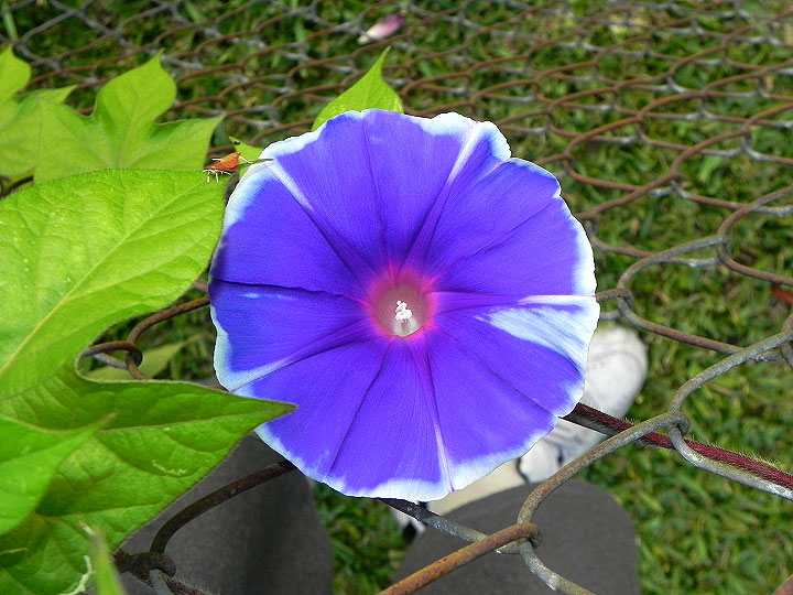 22-DSCN7984