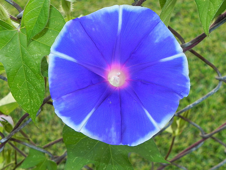 22-DSCN9000