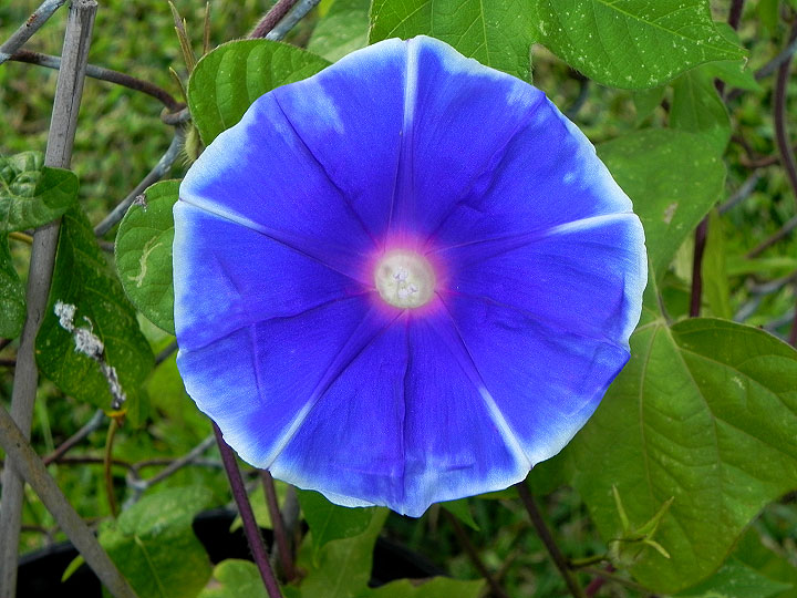22-DSCN9191