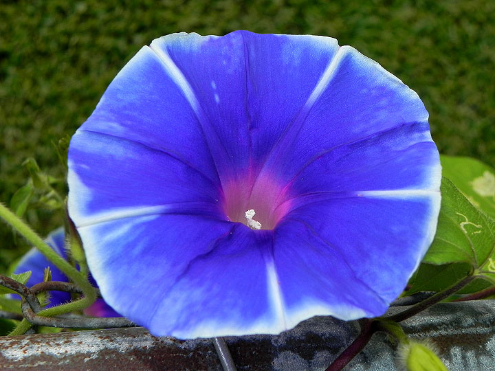 22-DSCN9194
