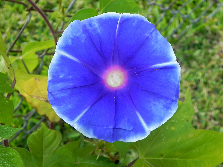 22-DSCN9394