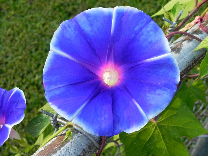 22-DSCN9395