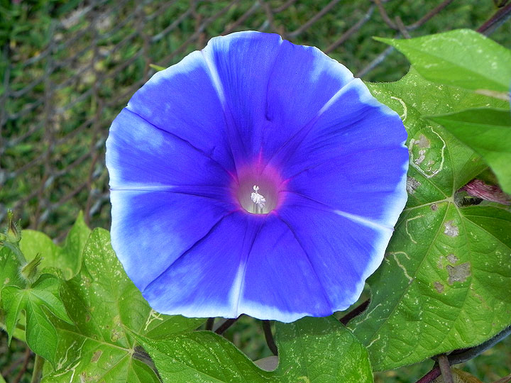 22-DSCN9644