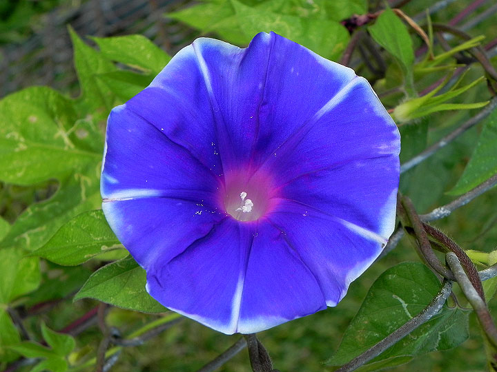 22-DSCN9900