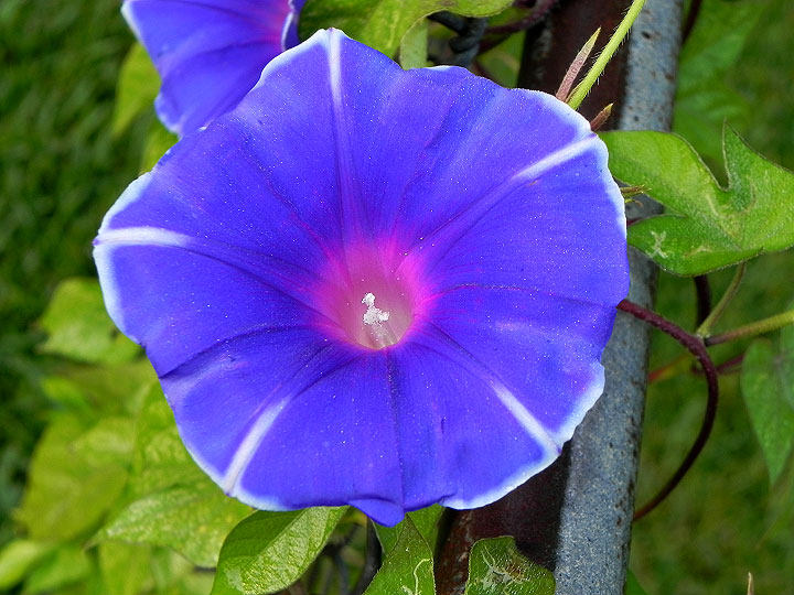 22o-DSCN3560