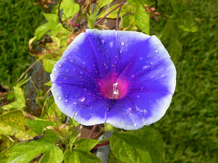 22o-DSCN7945