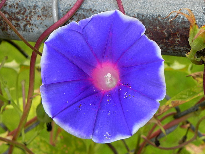22o-DSCN8156