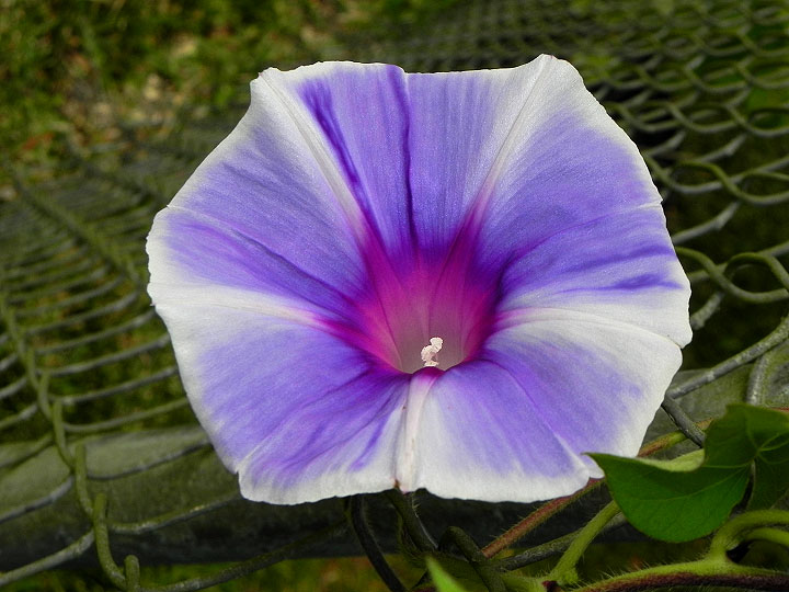 24-DSCN6496