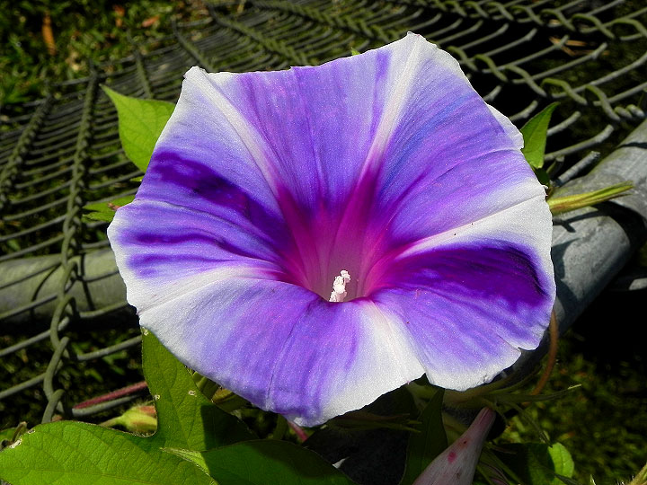24-DSCN6577