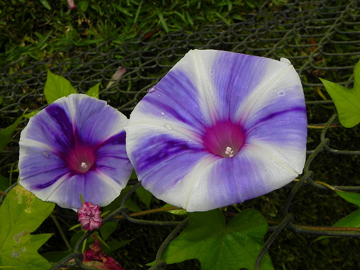 24-DSCN6783