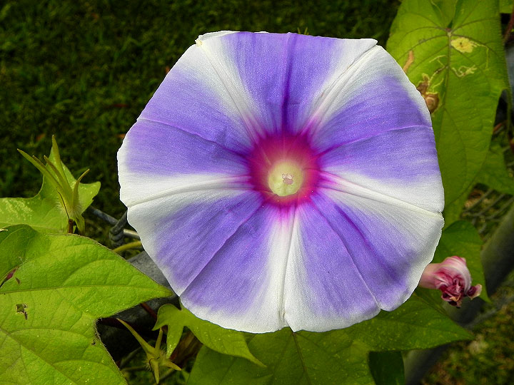 24-DSCN7518