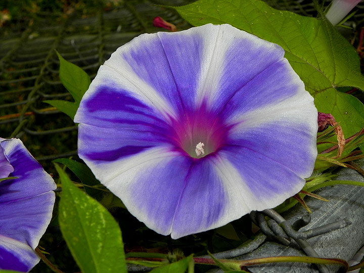 24-DSCN7662