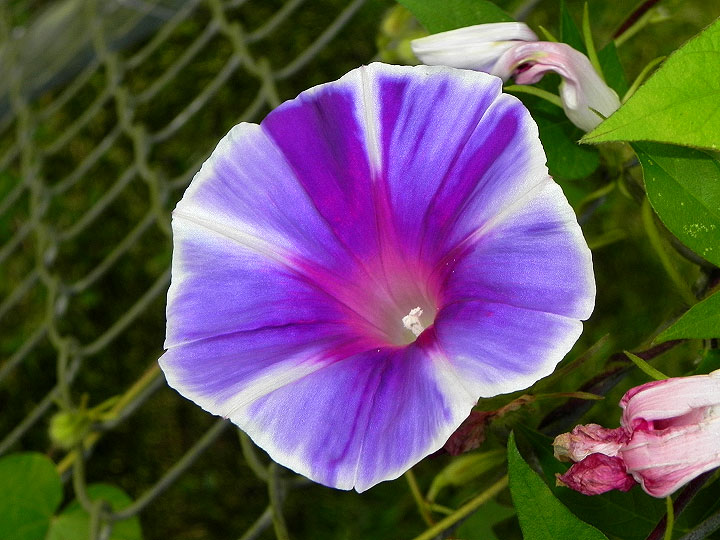 24-DSCN7831